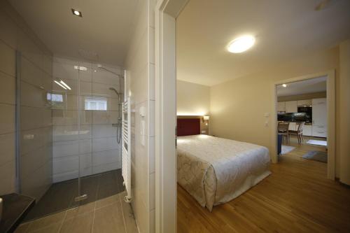 Appartement Central by Schladmingurlaub - image 5