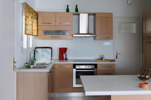 Penthouse Anneliese, Atény (fotografie 10)