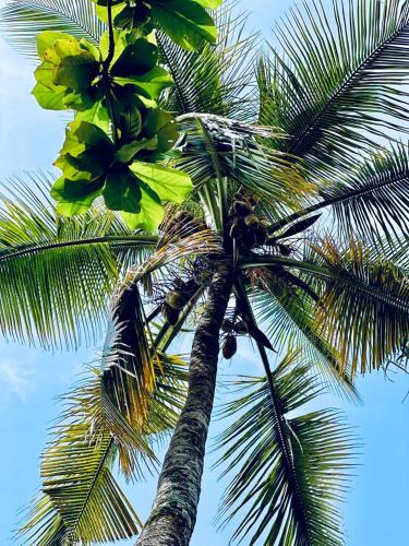 Mountain view Mountain view