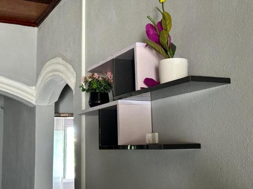 Mountain view Mountain view