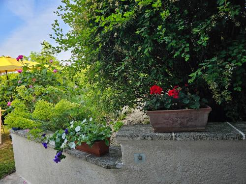 Clair logis, Giverny (photo 4)