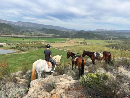 Doornkraal Tuinhuis Doornkraal Tuinhuis