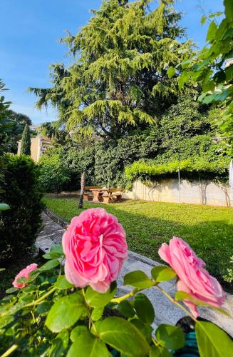 Villa Verde Piran, Authentic Mediterranean Stay – Piran, MO