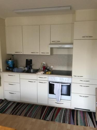 Tesis özellikleri, Bad Ragaz Appartement in Bad Ragaz