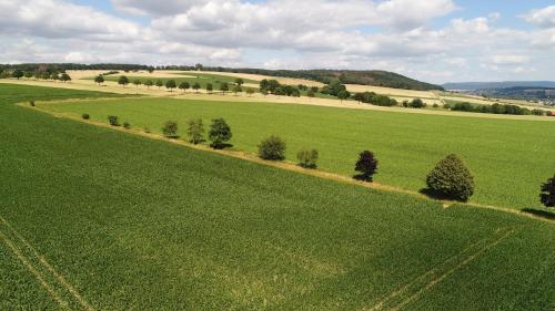 Komfort-Ferienhaus Wolke #56 in 埃克斯特爾塔爾