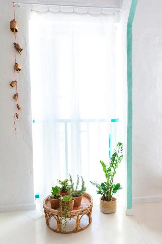 La Cayena Rooms & Apartments - 편의 시설/서비스