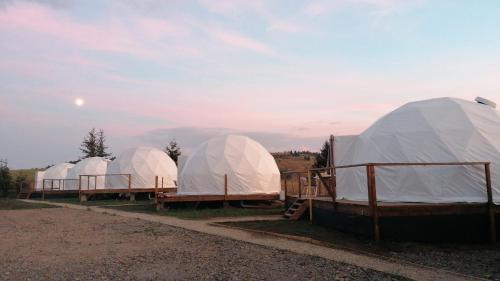 Glamping 4 us, Topliţa