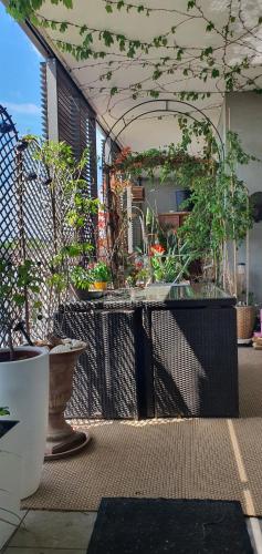 Appartement parc Marianne espace fitness in Parc Marianne