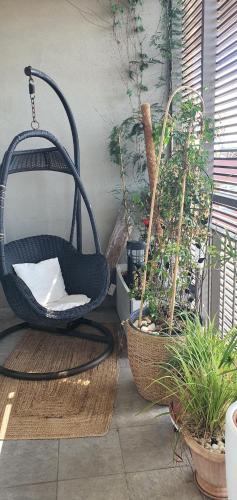 Appartement parc Marianne espace fitness in Parc Marianne