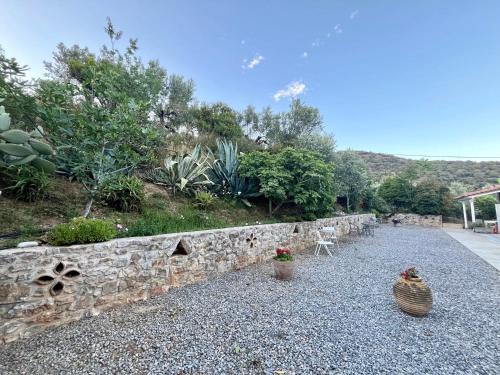 Nefeli Studios Nefeli Studios