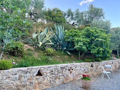 Nefeli Studios Nefeli Studios