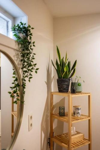 Gezellig appartement op het hippe Zuid, Amberes (foto 8)