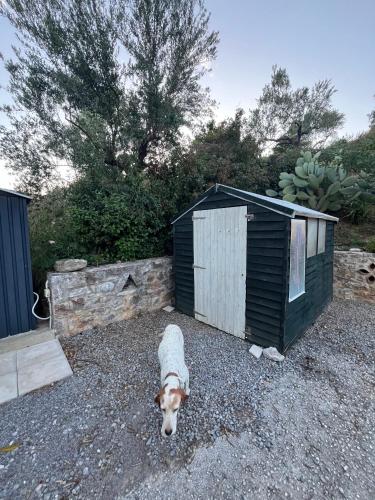 Nefeli Studios Nefeli Studios