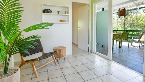 設施, Dream of the Green Flamingo in 威利布羅德