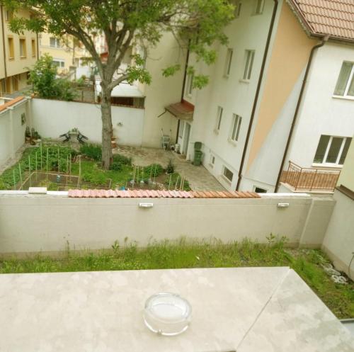 Alis, Sofia (Foto 11)