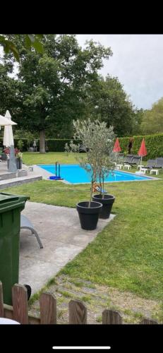 B&B Maison Saint Tropez Eindhoven