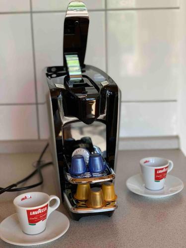 Arche Noah Arche Noah