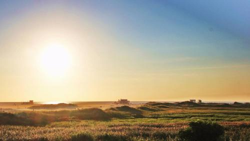 Arche Noah Arche Noah