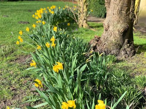 Strandhütte Strandhütte