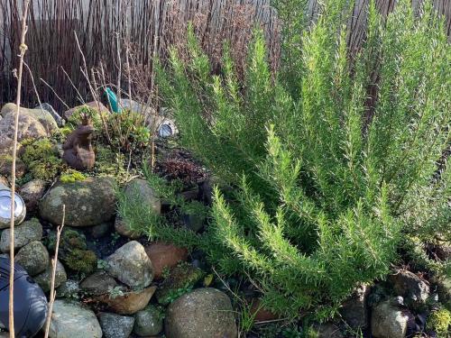 Strandhütte Strandhütte