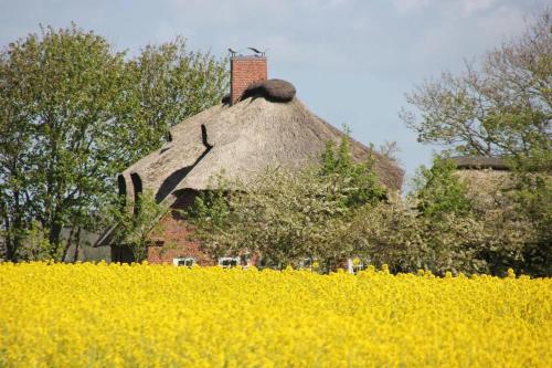 54 Grad Nord 54 Grad Nord