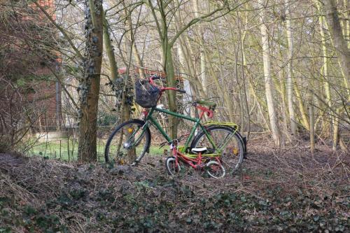 54 Grad Nord 54 Grad Nord