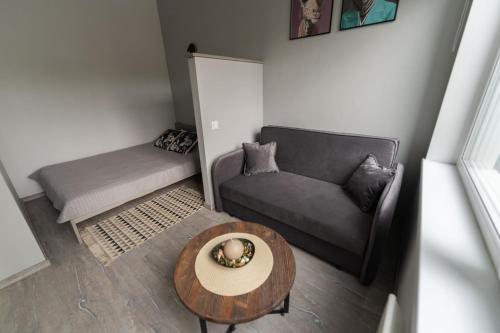 Cozy and Modern City Loft Residence Next to the Old Town