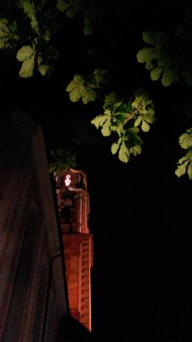 Pension Schwalbennestl - image 7