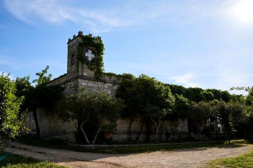 Agriturismo Teatro del grano
