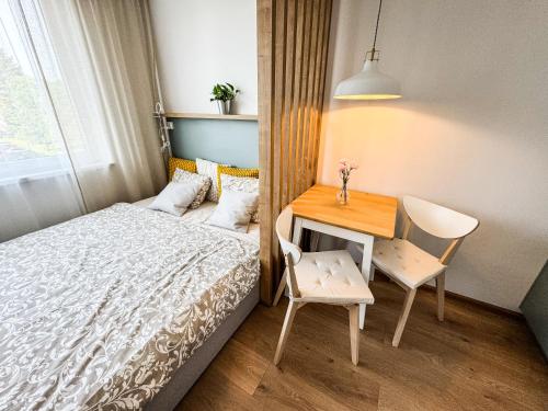 Studio Apartment Trenčín