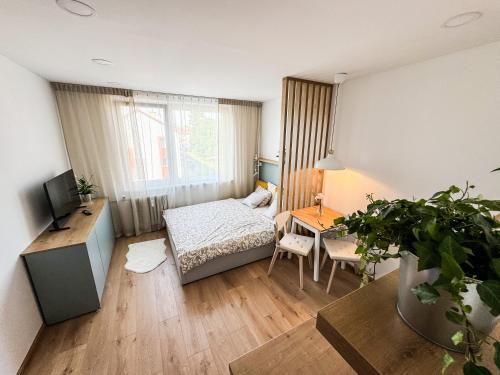 Studio Apartment Trenčín