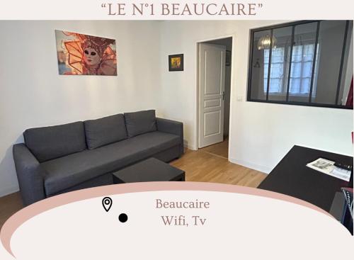 "Le N1" Beaucaire centre-ville - Location saisonnière - Beaucaire