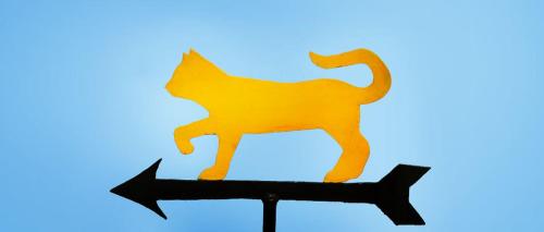 Agriturismo Gattogiallo - image 12