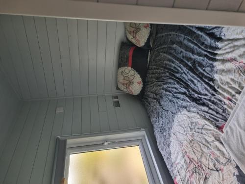 Glamping Hut - Riverview 3 Glamping Hut - Riverview 3