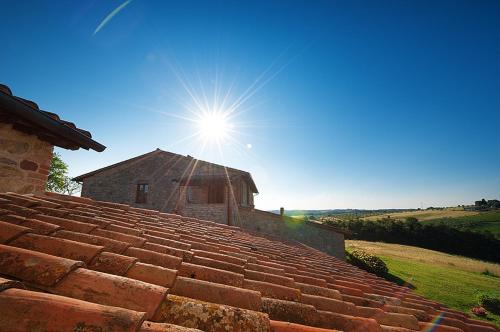 Agriturismo Gattogiallo - image 5