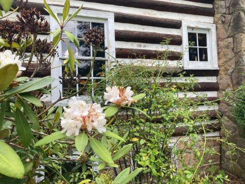 Viesnīcas āriene, Gorgeous cabin stay near I-77, views, antiques, Wi-fi, wonderful experience for 2! in Pembroke (VA)
