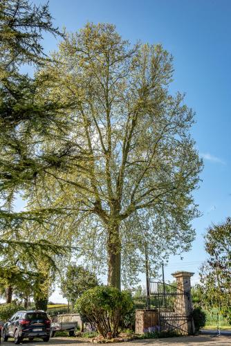 ESCALE AU CLOS SAINT MARTIN DE JUILLERS Gîtes et Chambres d'Hôtes