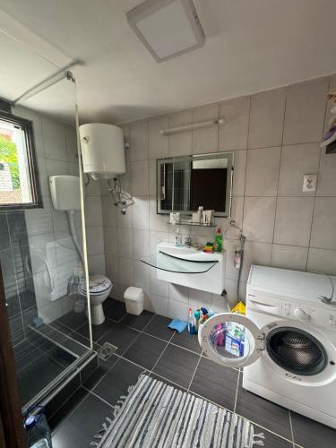 Boka charter 2 in Krasici