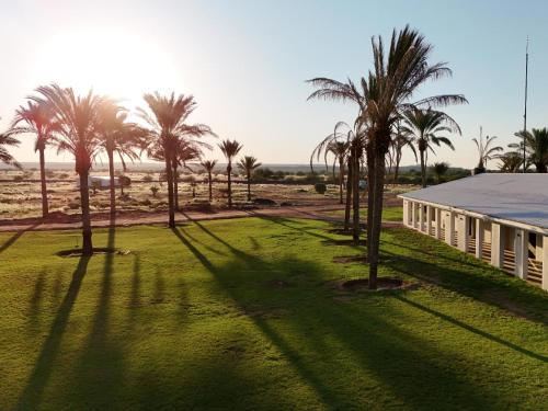 . Flying Ostrich Guesthouse & Palmrest Farmstall