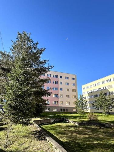 . Однокомнатная квартира с новым ремонтом