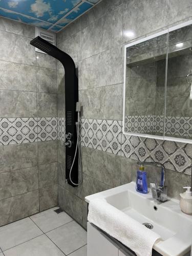 Two-Bedroom Apartment image 8
