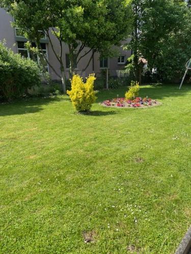 Bel Appartement en RDC proche Strasbourg Nice apartment very near Strasbourg, Štrasburk (fotografie 10)