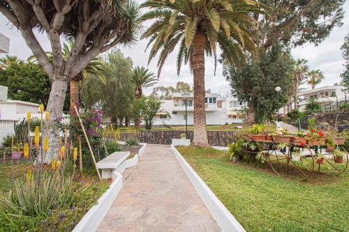 Eureka Tenerife - Tap to explore photos