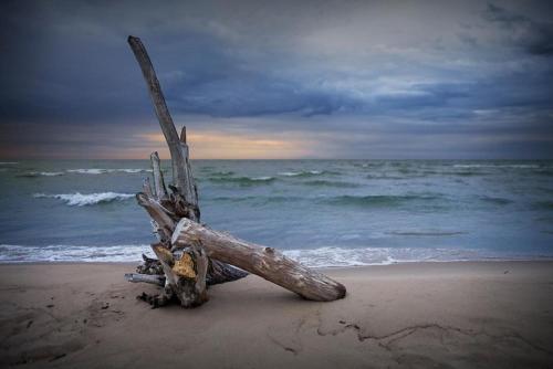 Lake Huron - 1 Bedroom, 1 Bath Lake Front Cabin (Sleeps 4)