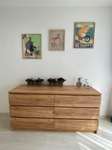 Apartmán Bystřice, Bystřice nad Pernštejnem (photo 8)