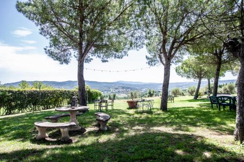 Agriturismo Palazzo Val Del Sasso - image 12