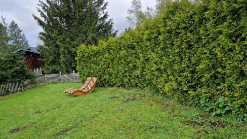 FEWO klein mit Garten, Feldberg (fotografie 6)