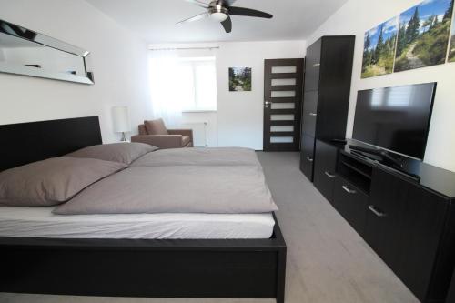 Apartament Szklarska Krokus - kolej linowa na Szrenicę 7 minut pieszo, wysoki standard, światłowód, parking, Szklarska Poręba (foto 9)