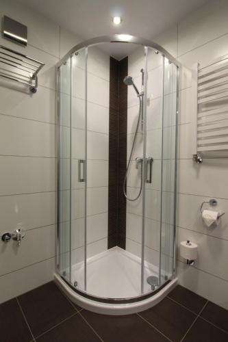 Apartament Szklarska Krokus - kolej linowa na Szrenicę 7 minut pieszo, wysoki standard, światłowód, parking, Szklarska Poręba (foto 10)