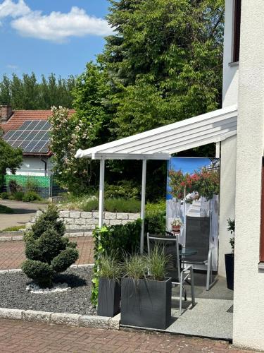 La Pura Vida La Pura Vida